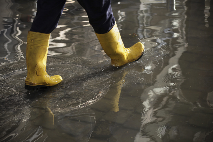 In The Flood Water